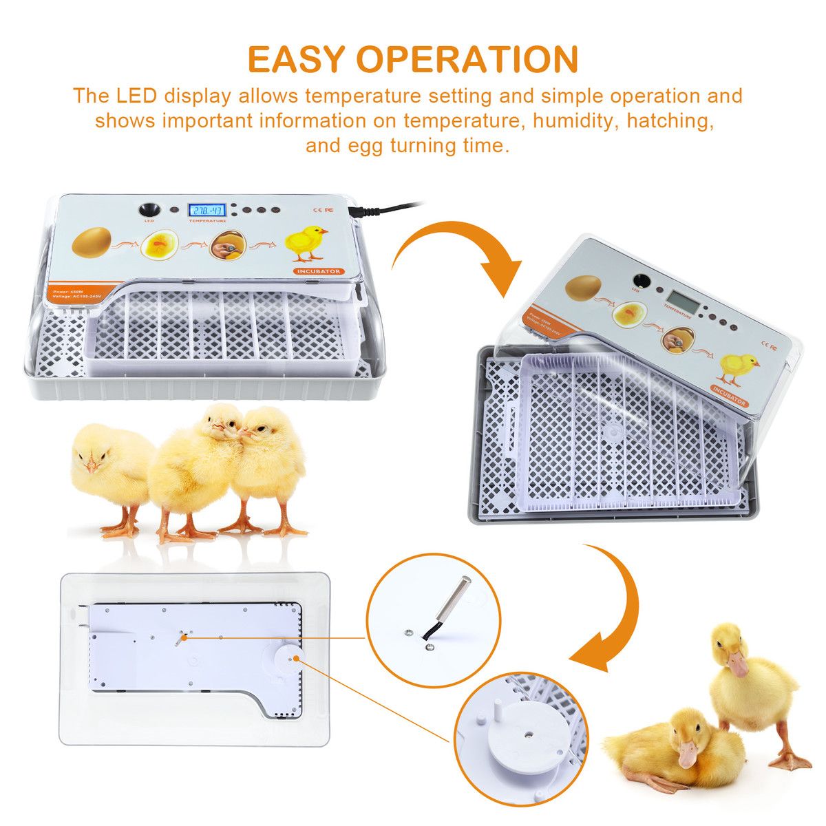 https://img.bestdeals.co.nz/products_pictures/814/81463_797956_F.jpg