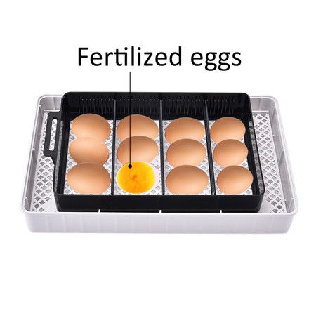 https://img.bestdeals.co.nz/products_pictures/814/81463_797958_F.jpg
