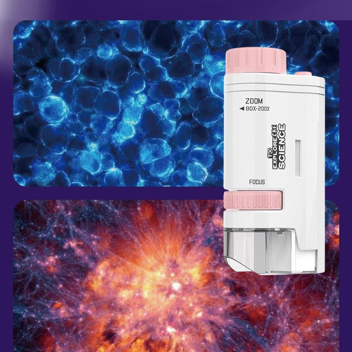 https://img.bestdeals.co.nz/products_pictures/815/81542_798221_F.jpg