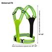High Visibility LED Illuminated Reflective Vest with Adjustable Waist for Runners and Outdoor Enthusiasts, USB Rechargeable