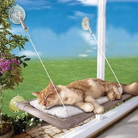 https://img.bestdeals.co.nz/products_pictures/816/81647_798341_F.jpg
