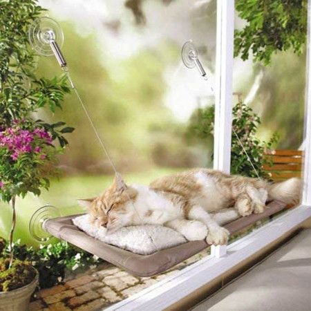 https://img.bestdeals.co.nz/products_pictures/816/81647_798343_F.jpg