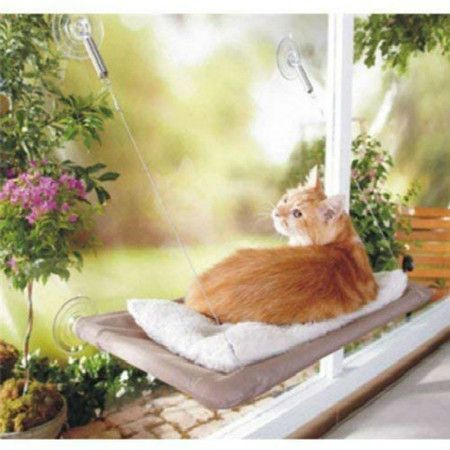 https://img.bestdeals.co.nz/products_pictures/816/81647_798344_F.jpg