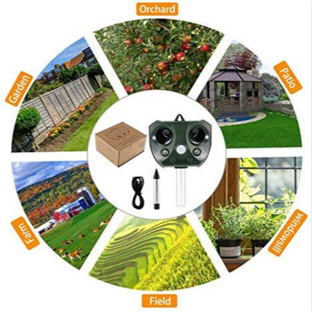 https://img.bestdeals.co.nz/products_pictures/816/81665_778621_F.jpg