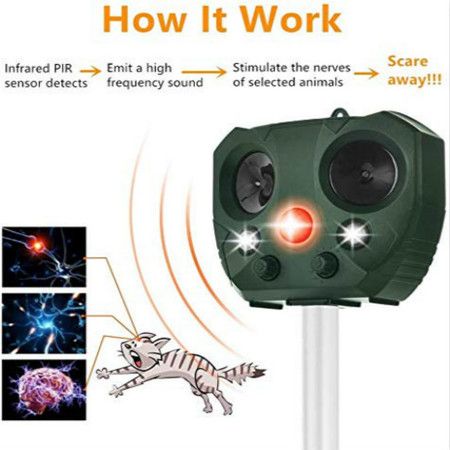 https://img.bestdeals.co.nz/products_pictures/816/81665_778623_F.jpg