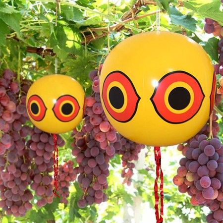 https://img.bestdeals.co.nz/products_pictures/816/81690_778818_F.jpg