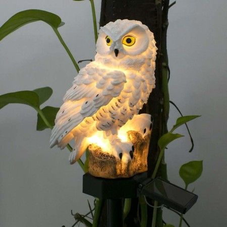 https://img.bestdeals.co.nz/products_pictures/817/81703_778915_F.jpg