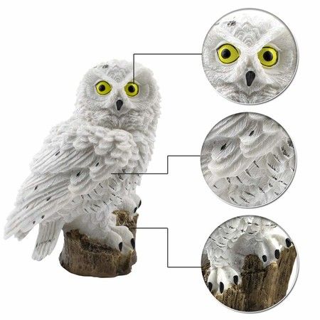 https://img.bestdeals.co.nz/products_pictures/817/81703_778916_F.jpg
