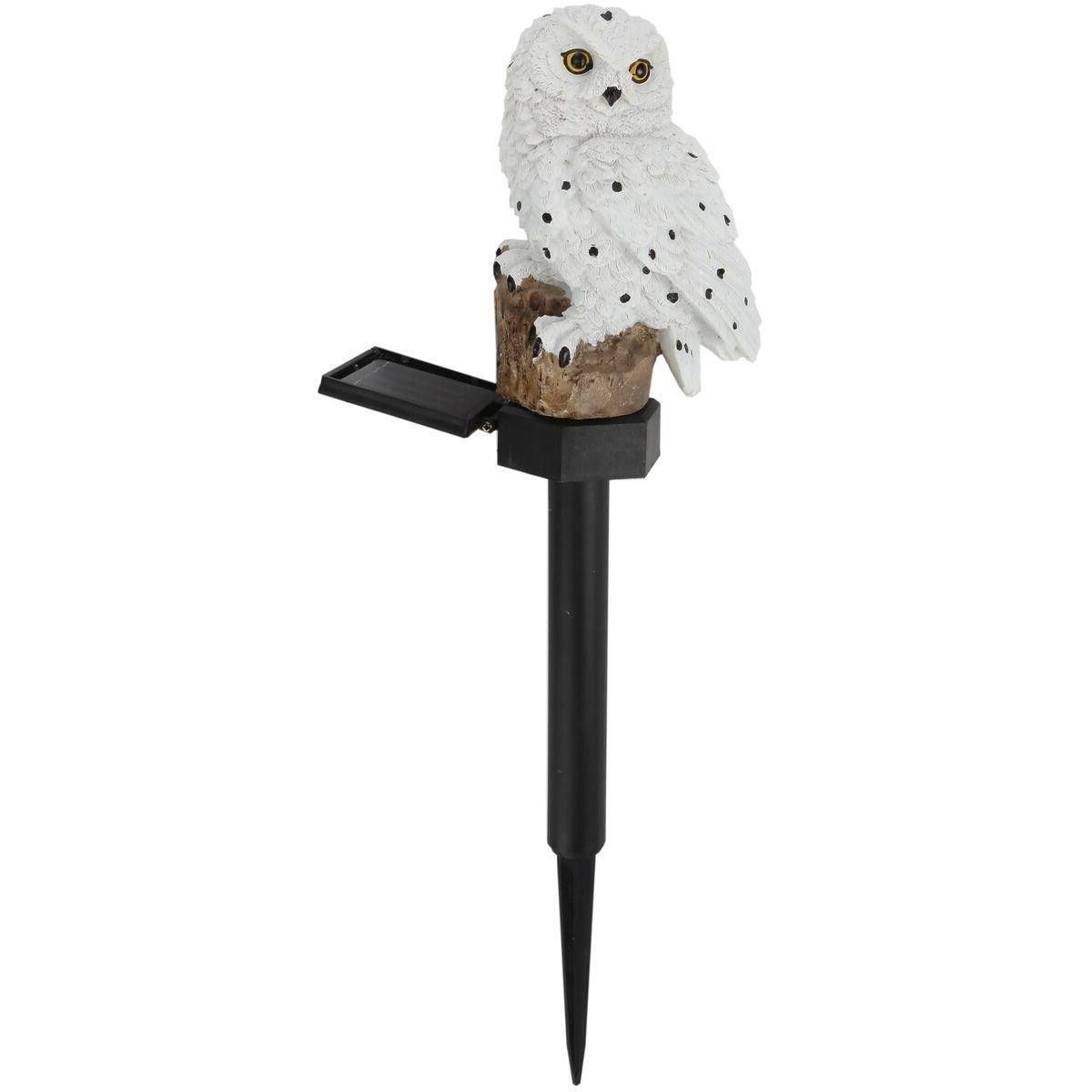https://img.bestdeals.co.nz/products_pictures/817/81703_778918_F.jpg