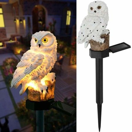 https://img.bestdeals.co.nz/products_pictures/817/81703_778920_F.jpg