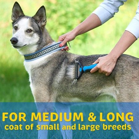https://img.bestdeals.co.nz/products_pictures/817/81715_779018_F.jpg