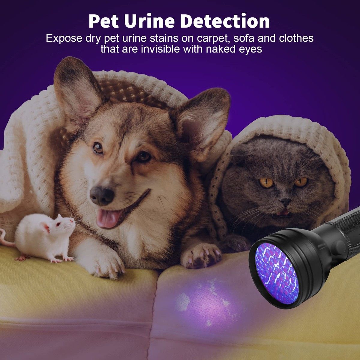 https://img.bestdeals.co.nz/products_pictures/817/81750_779276_F.jpg