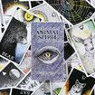 The Wild Unknown Animal Spirit Deck, a Stunning Tarot Oracle Deck for Guidance and Self-Discovery