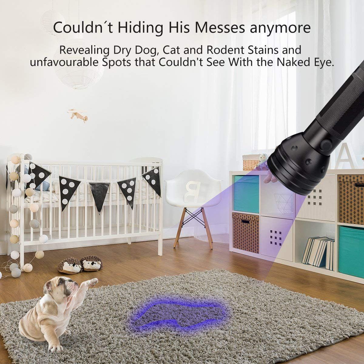 https://img.bestdeals.co.nz/products_pictures/818/81850_780046_F.jpg