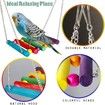 19-Piece Hanging Wooden Bird Toy Set for Parakeets, Cockatiels, and Other Small Birds