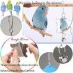 19-Piece Hanging Wooden Bird Toy Set for Parakeets, Cockatiels, and Other Small Birds