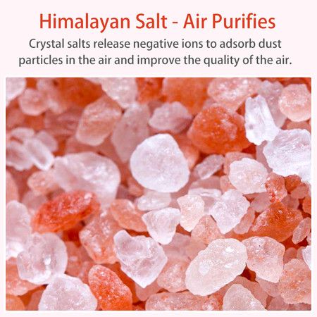 https://img.bestdeals.co.nz/products_pictures/819/81979_799961_F.jpg
