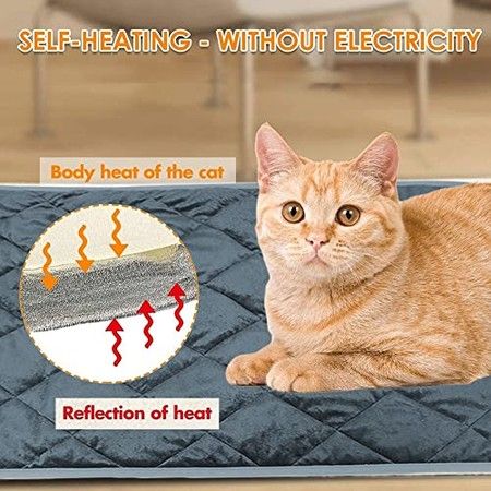 https://img.bestdeals.co.nz/products_pictures/820/82010_781228_F.jpg