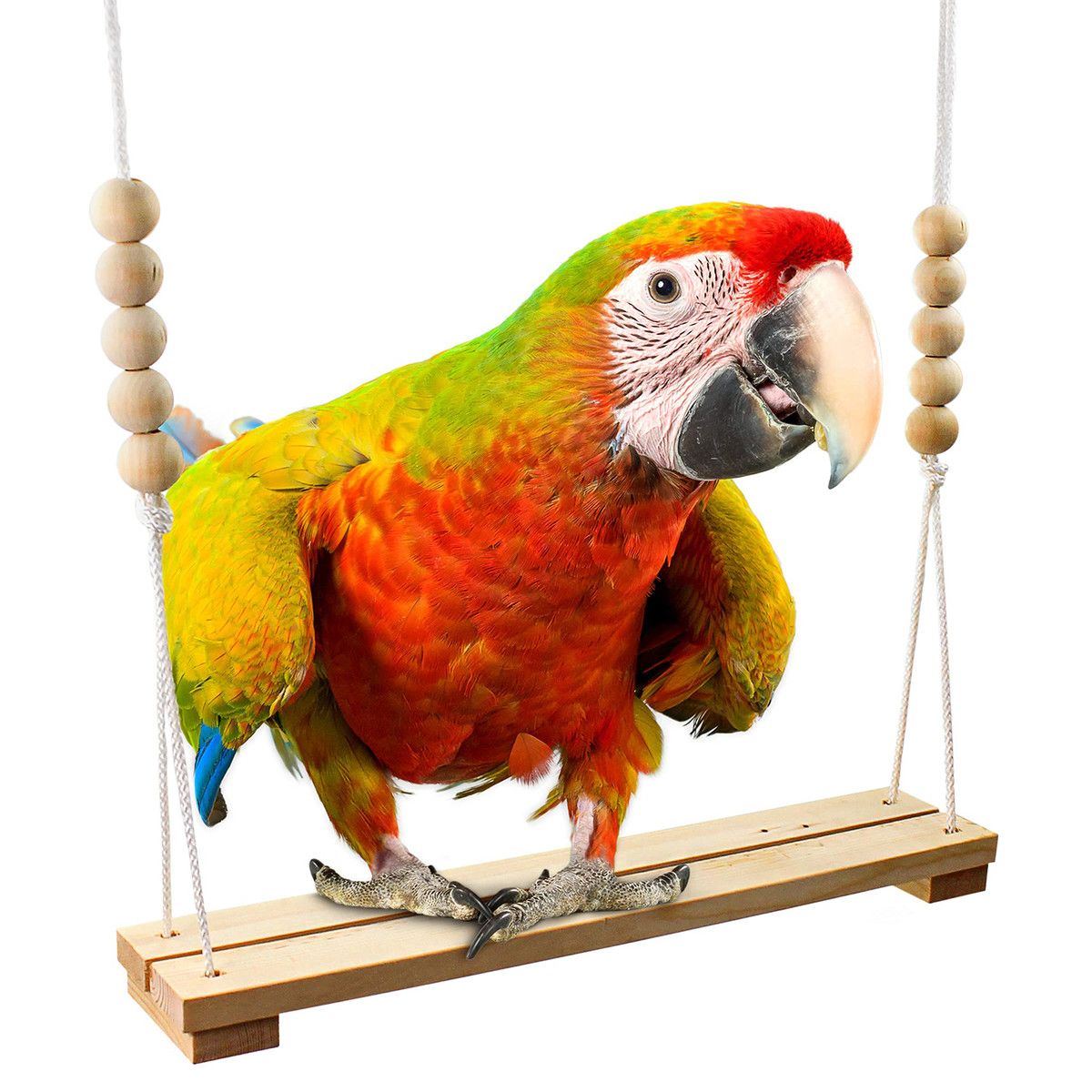 https://img.bestdeals.co.nz/products_pictures/820/82033_781414_F.jpg