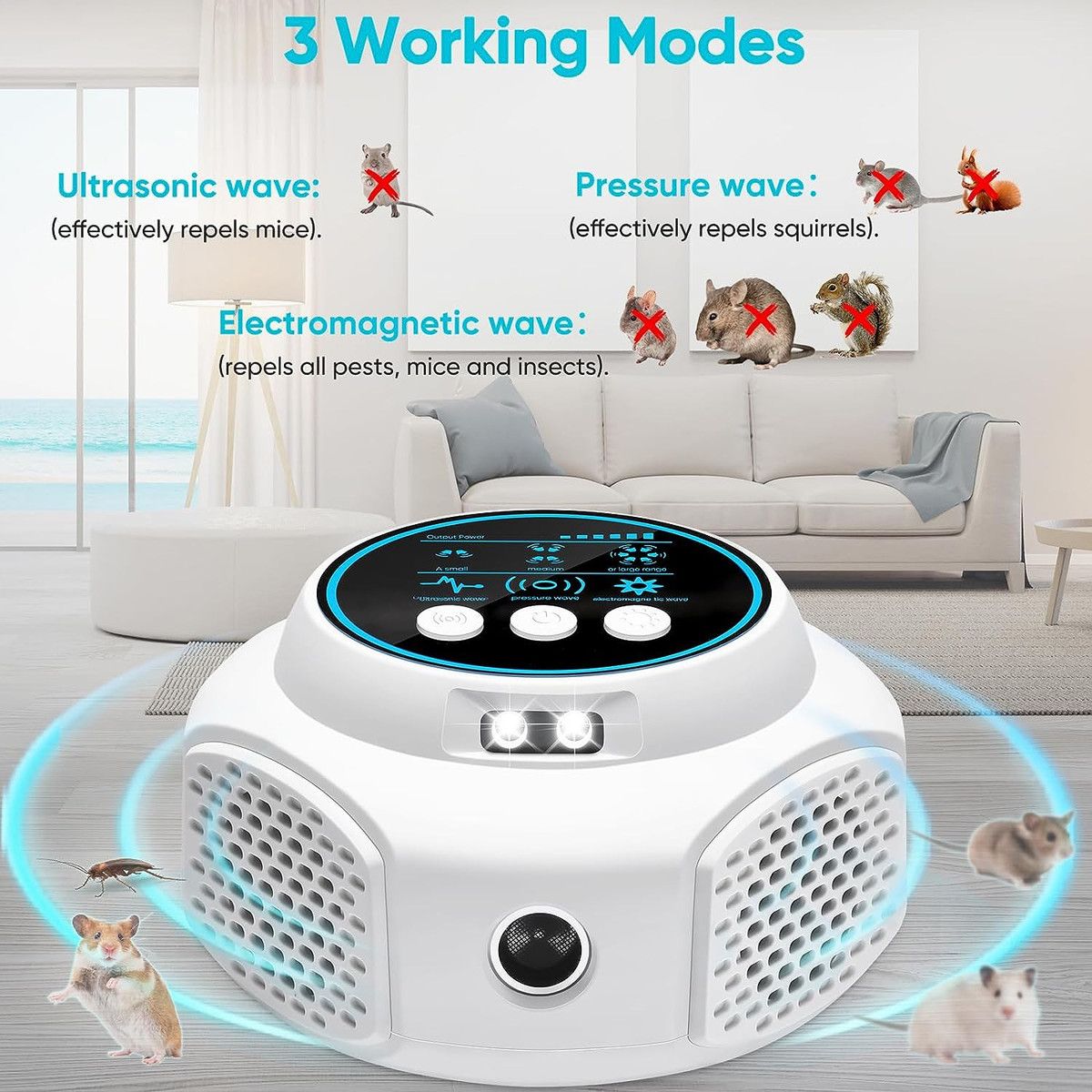 https://img.bestdeals.co.nz/products_pictures/820/82037_800405_F.jpg