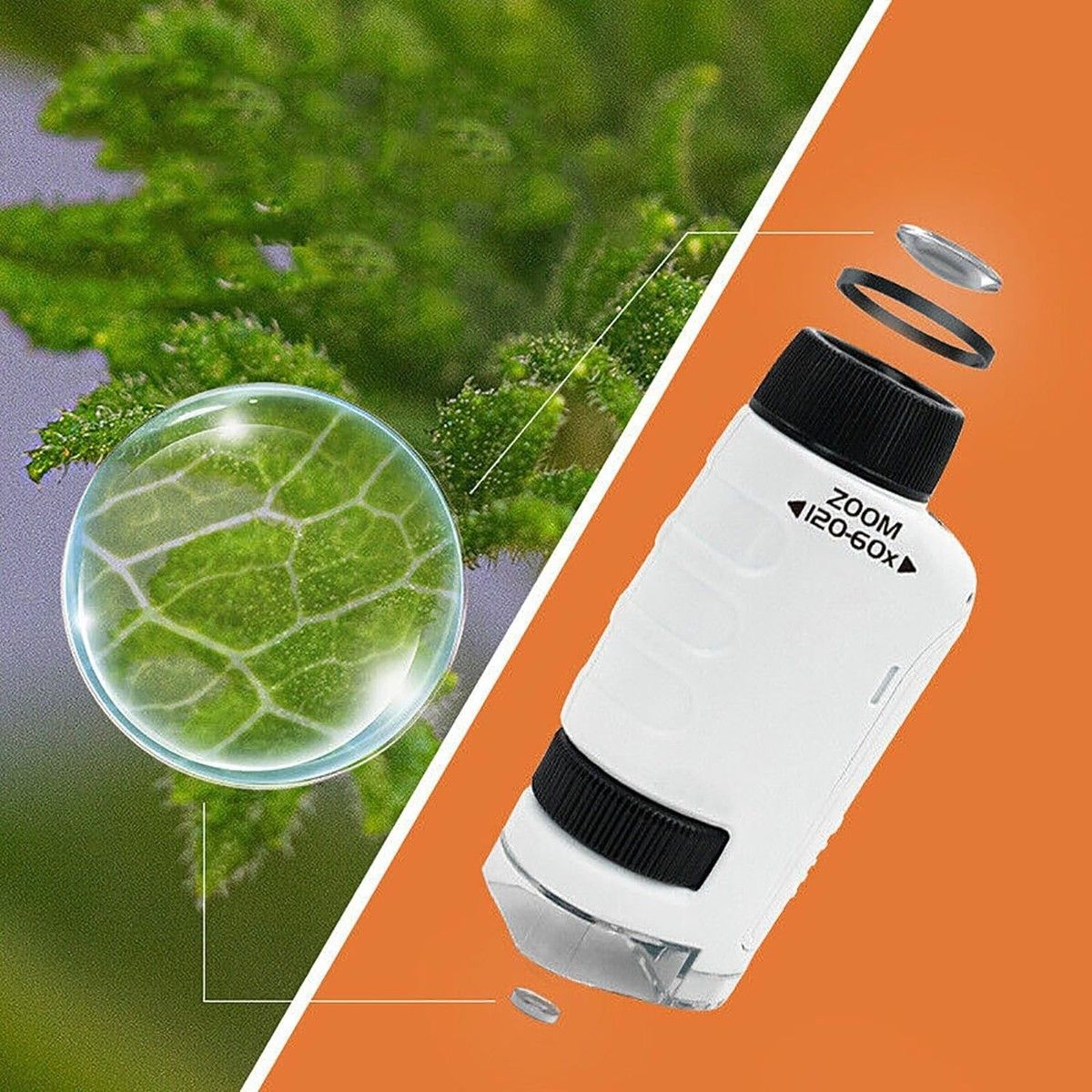 https://img.bestdeals.co.nz/products_pictures/821/82143_800533_F.jpg