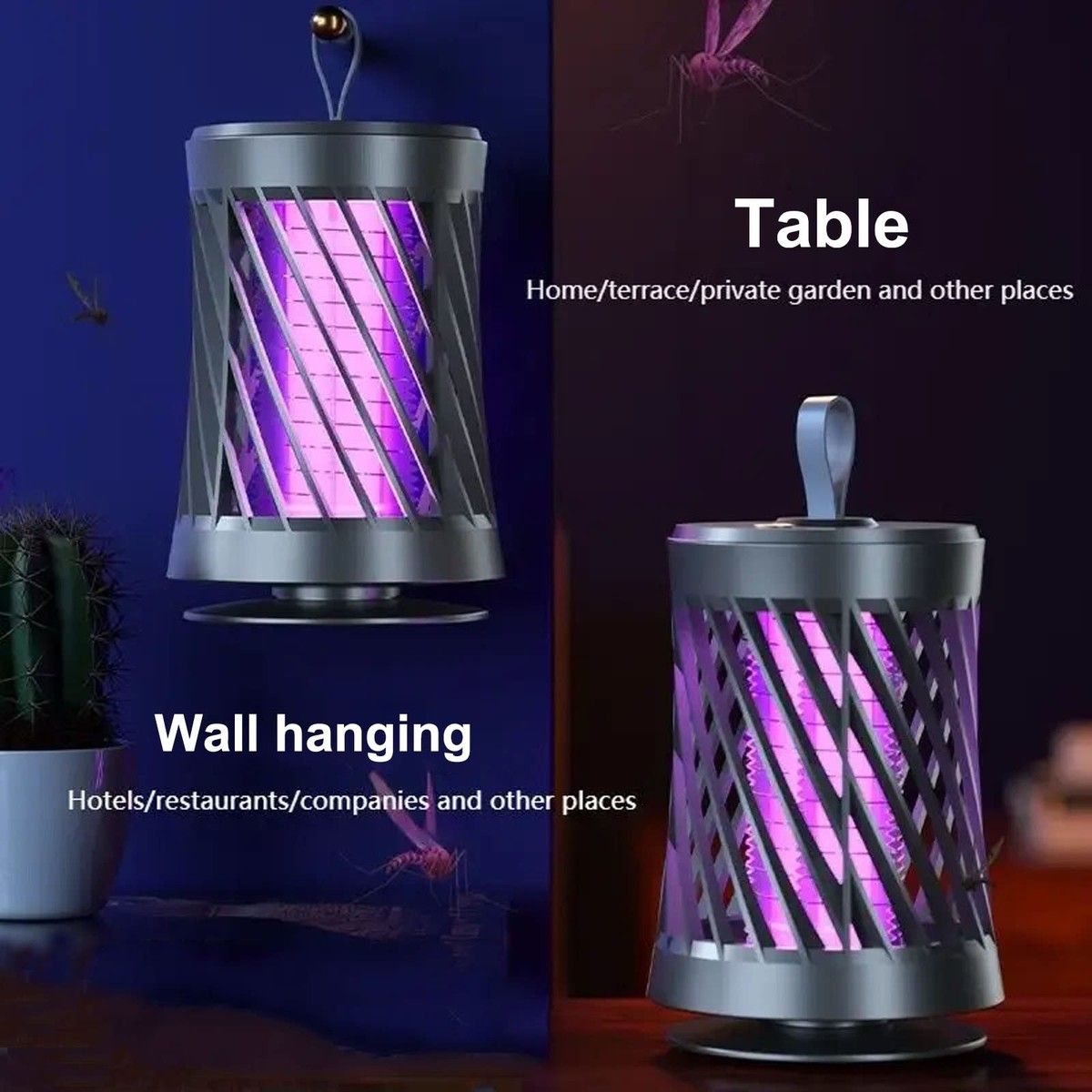 https://img.bestdeals.co.nz/products_pictures/822/82242_783008_F.jpg