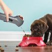 Interactive Pet Snack Shooter and Feeder - Treat Dispensing Toy for Dog Training