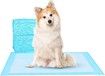 50-Pack of Leak-Proof, Quick-Dry Dog and Puppy Pee Pads for Potty Training (45*60cm, Standard Absorbency, Blue & White)