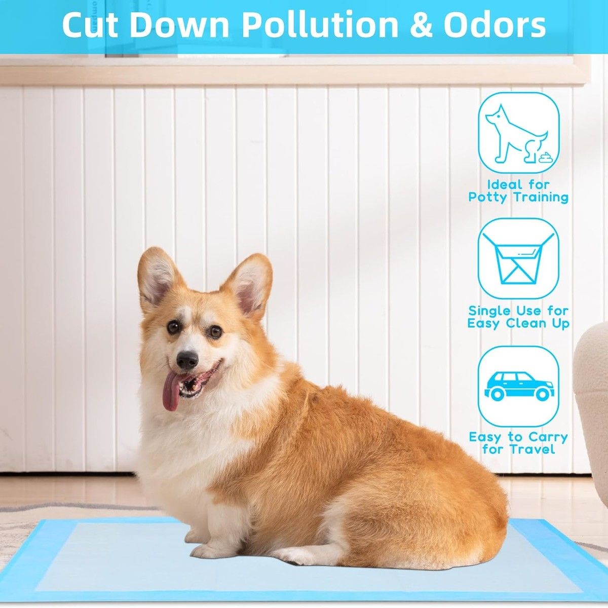 https://img.bestdeals.co.nz/products_pictures/823/82345_783861_F.jpg