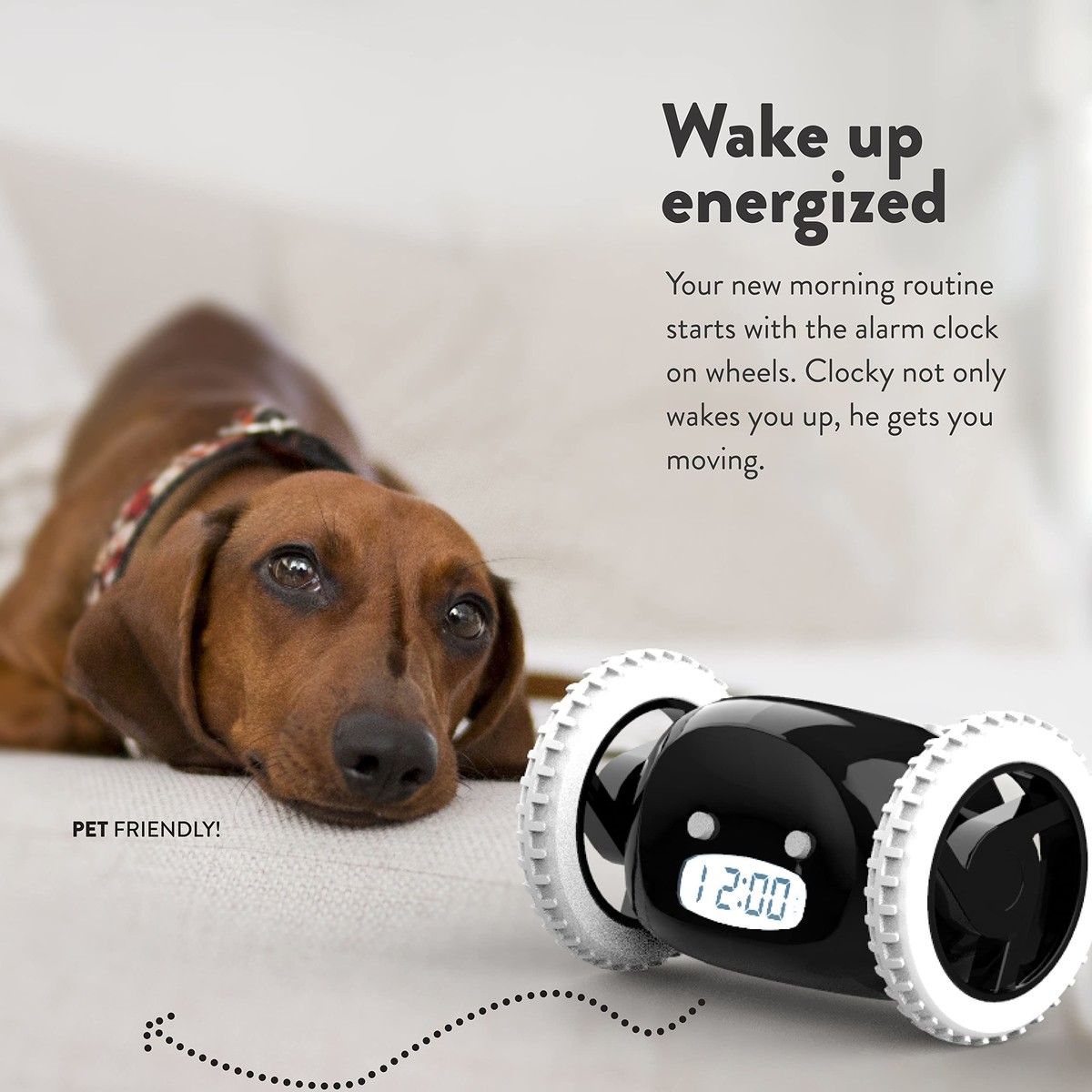 https://img.bestdeals.co.nz/products_pictures/824/82441_802059_F.jpg
