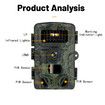 1080P Day & Night Trail Camera with Powerful night vision illumination for clear images in low light, IP54 Waterproof perfect for Wildlife and Outdoor Adventures