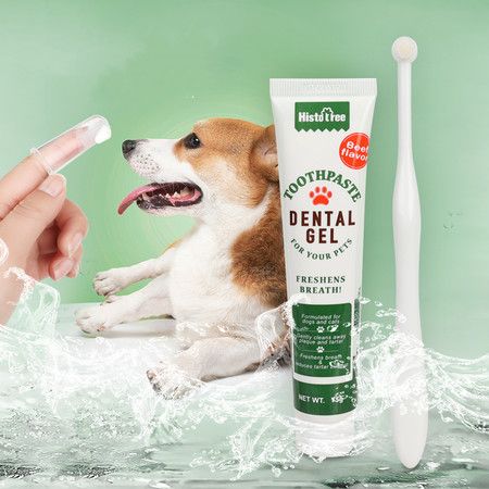 https://img.bestdeals.co.nz/products_pictures/825/82506_802088_F.jpg