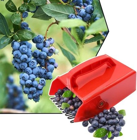 https://img.bestdeals.co.nz/products_pictures/825/82543_785407_F.jpg