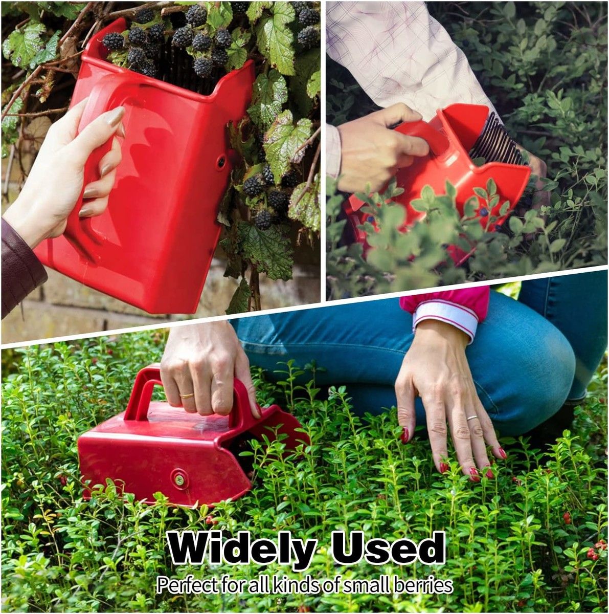 https://img.bestdeals.co.nz/products_pictures/825/82543_785410_F.jpg