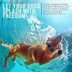 Wireless Dog Fence + 3 Dogs Training Shock Collar for Ultimate Dog Safety Freedom