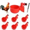 6-Pack Automatic Chicken Water Cups Feeder for Poultry and Chicks, Duck, Goose, Turkey and Bunny