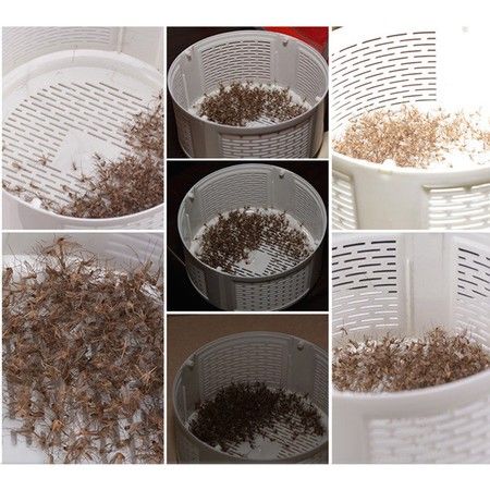 https://img.bestdeals.co.nz/products_pictures/826/82613_785999_F.jpg
