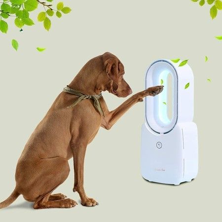 https://img.bestdeals.co.nz/products_pictures/826/82682_786575_F.jpg