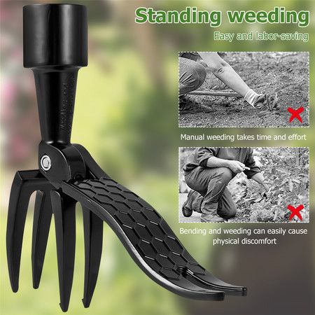 https://img.bestdeals.co.nz/products_pictures/828/82858_787940_F.jpg