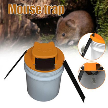 https://img.bestdeals.co.nz/products_pictures/829/82994_788916_F.jpg