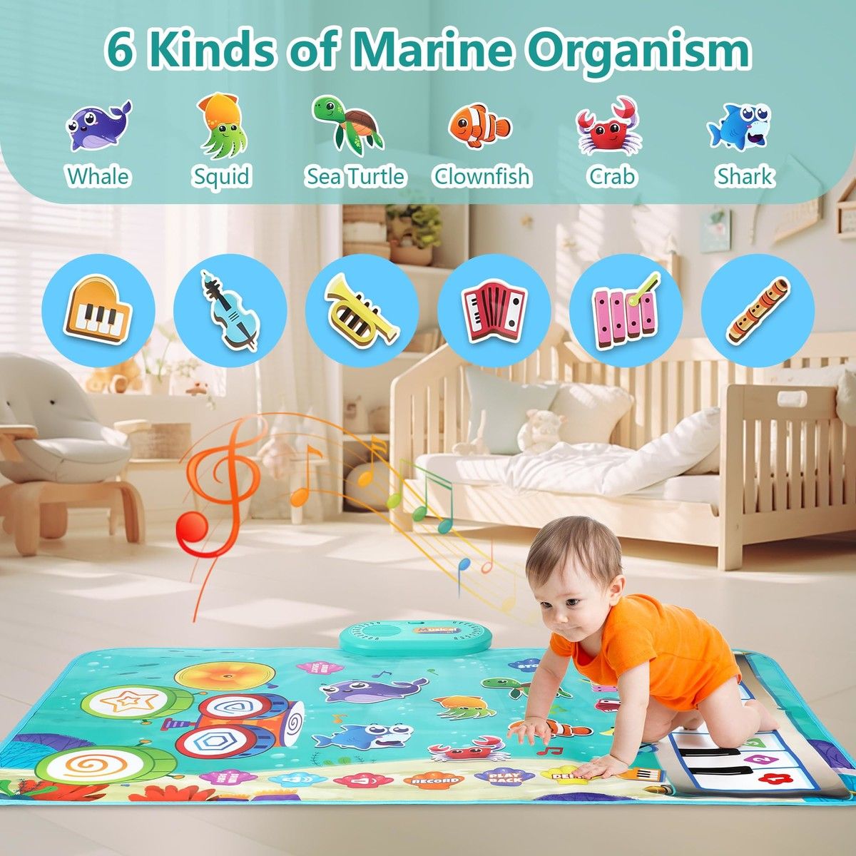 https://img.bestdeals.co.nz/products_pictures/832/83206_790615_F.jpg