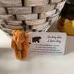 A Little Pocket Bear Hug Envelop Sending You a Bear Hug, with Pocket Hug Token Card, Emotional Support Plush Positive Gifts (Brown)