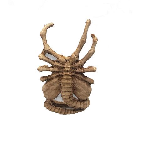 https://img.bestdeals.co.nz/products_pictures/834/83410_793049_F.jpg