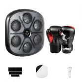 Centra Punching Box With 12 OZ Boxing Glove
