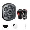 Centra Punching Box With 12 OZ Boxing Glove