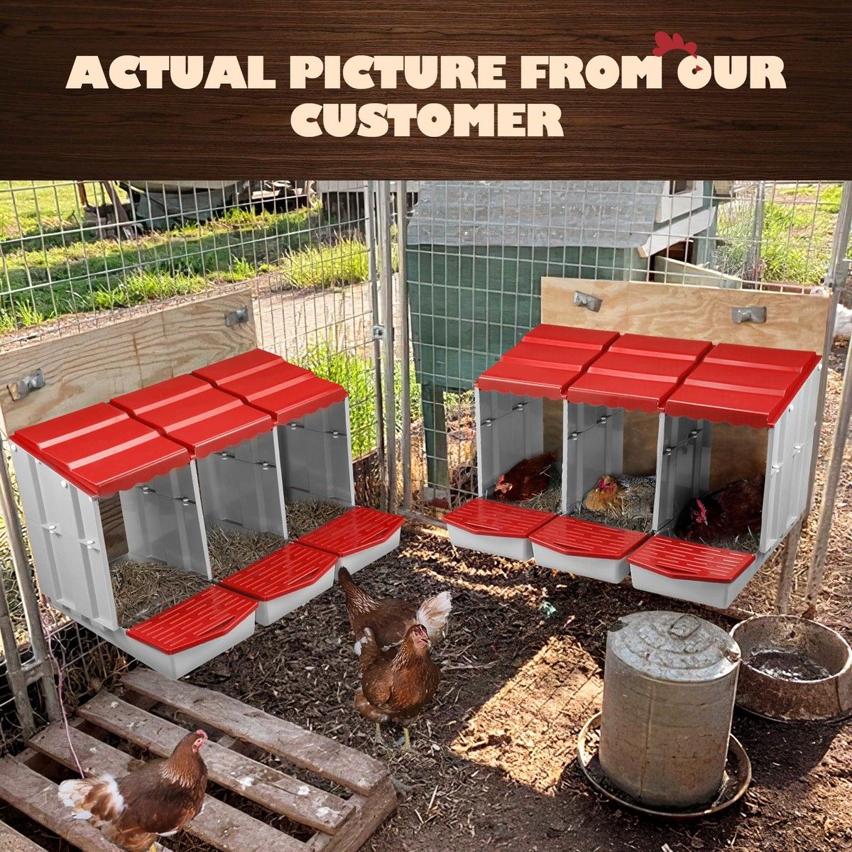 https://img.bestdeals.co.nz/products_pictures/836/83614_794017_F.jpg