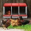 3 Hole Chicken Nesting Box Roll Away Chook Hen Laying Boxes Modular Nest House Poultry Egg Nest Brooder Coop Perch Plastic