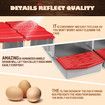 3 Hole Chicken Nesting Box Roll Away Chook Hen Laying Boxes Modular Nest House Poultry Egg Nest Brooder Coop Perch Plastic