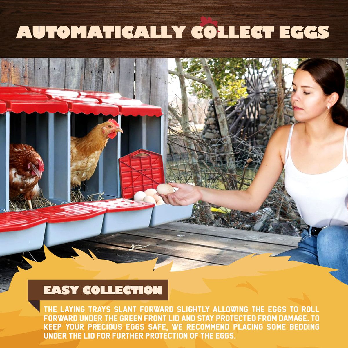 https://img.bestdeals.co.nz/products_pictures/836/83614_794026_F.jpg