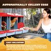 3 Hole Chicken Nesting Box Roll Away Chook Hen Laying Boxes Modular Nest House Poultry Egg Nest Brooder Coop Perch Plastic
